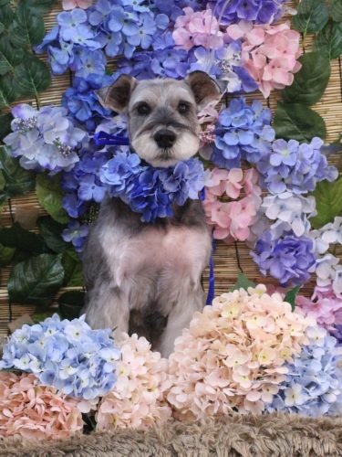 20250628小鉄くん